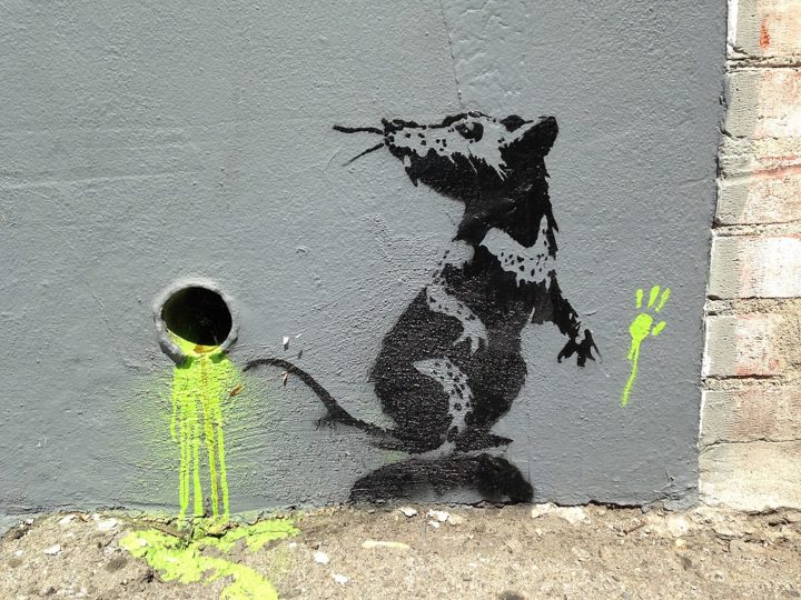 Rat: O rato é um dos símbolos mais recorrentes nas obras de Banksy, representando a resistência, a sobrevivência e a capacidade de adaptação.