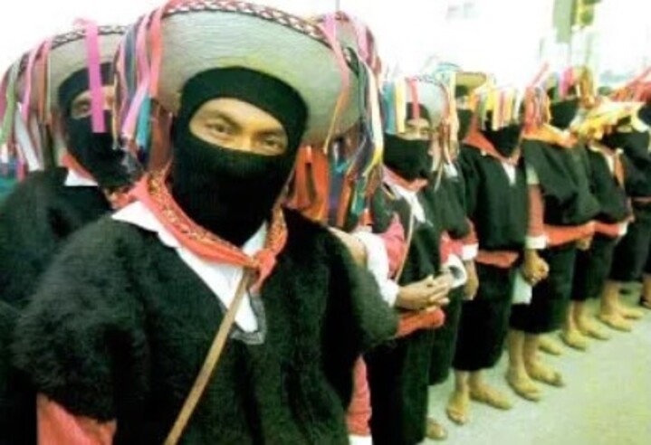 O Exército Zapatista de Libertação Nacional originou-se no estado de Chiapas, no sul do México, e é formado por camponeses e indígenas. 
