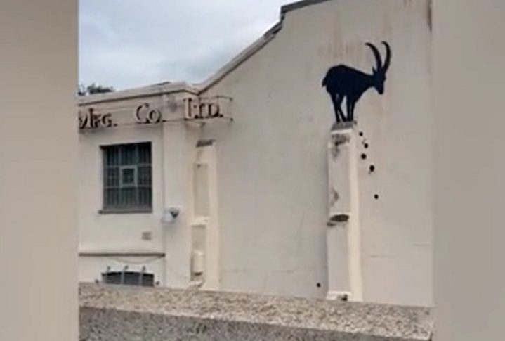 Nos comentários, surgiram várias especulações sobre o que Banksy queria transmitir com o mural. No entanto, o artista não deu um título à obra. 