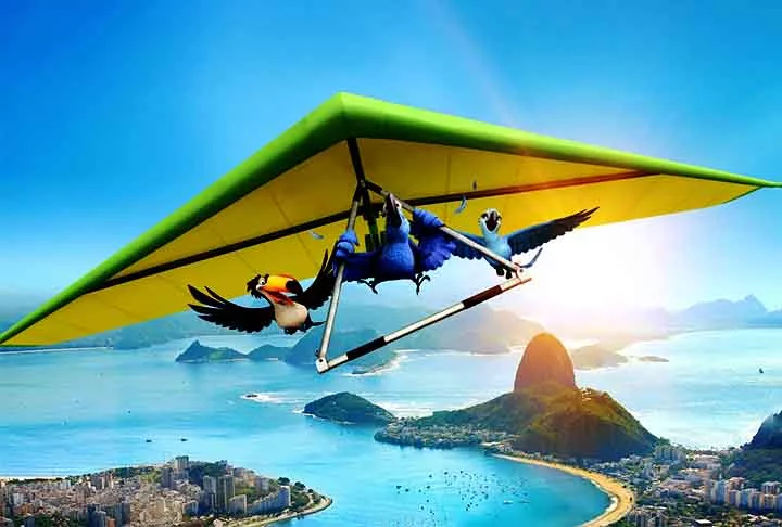 A animação é conhecida por sua celebração do Carnaval e pela trilha sonora, que inclui músicas de brasileiros como Sergio Mendes e Carlinhos Brown. Rio foi bem recebido por críticos e público, elogiado por sua visualização colorida e sua trilha sonora envolvente.