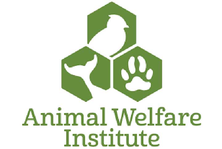 Os animais foram encontrados em uma fazenda abandonada na Carolina do Sul no começo do ano. Morgan celebrou o resgate: Fico feliz em levá-los e mantê-los juntos em nossa fazenda. Eles seriam uma adição bem-vinda ao nosso zoológico de criaturas felizes.