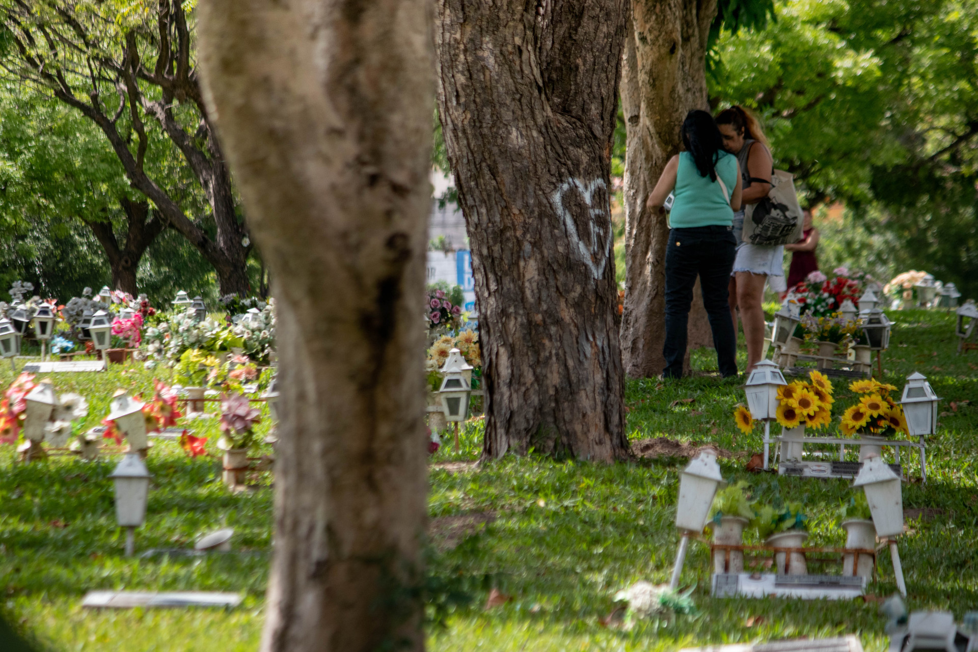 FORTALEZA, CEARÁ, BRASIL, 10-08-2024: Movimentação de famílias no Dia dos Pais no cemitério Parque da Paz com algumas homenagens entre pais, filhos e avós.  (Foto: Samuel Setubal/ O Povo)