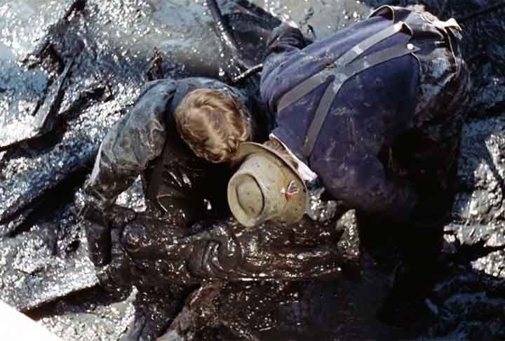 No interior do Vasa foram encontradas ossadas das vítimas do naufrágio da embarcação sueca. Ao menos 30 das 150 pessoas a bordo morreram na tragédia marítima. 
