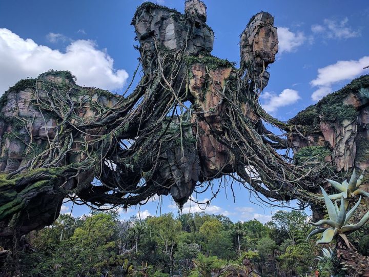 Disney's Animal Kingdom: Combina um parque temático com um zoológico, apresentando atrações como Expedition Everest e Avatar Flight of Passage (foto).