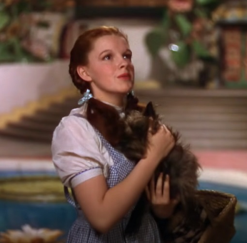 #2. “O Mágico de Oz” (1939): Essa fábula do diretor Victor Fleming chamou a atenção de todos na época em que foi lançado por utilizar uma técnica conhecida como “Technicolor”, um processo que deixava as cores do filme mais vivas.