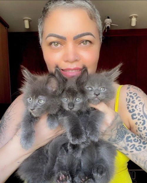 Eu jamais ia conseguir passar por todo o tratamento sem meus gatos. Eles foram meu suporte emocional, me davam força, carinho, nos piores momentos da quimioterapia, ronronavam e mostravam todo o amor que eles têm por mim, ressaltou a cuidadora.