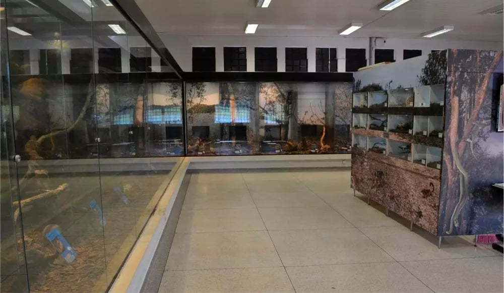 O Museu Serpentário de Botucatu, no interior de São Paulo, é um dos espaços culturais do Brasil que reúne espécies para conhecimento do público. Ele foi reaberto em junho de 2022, após dois anos fechado, por causa da pandemia.