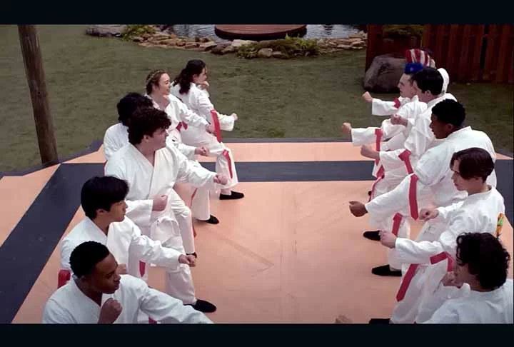 A trama dá sequência à vida dos personagens (LaRusso e Lawrence), que estão mais velhos, com filhos e vidas completamente distintas. Mas engana-se quem pensa que a série é somente para os fãs dos filmes. Afinal, a trama aborda temas atuais, como bullying e identidade de gênero, perpassando entre passado e futuro, com os filhos dos personagens principais tendo seus próprios enredos.