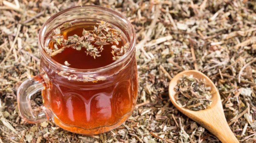 O chá de quebra-pedra auxilia em tratamentos renais e hepáticos (Imagem: Luis Echeverri Urrea | Shutterstock) 