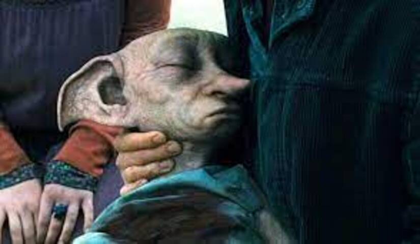 Cena memorável: O adeus de Dobby - Harry perde um amigo muito querido de forma inesperada e dolorosa. Dobby era um elfo extremamente leal a Harry, muito grato desde que o bruxinho o libertou da escravidão dos Malfoys. Um ser puro, gentil e que deu sua vida para salvar o seu amigo. 