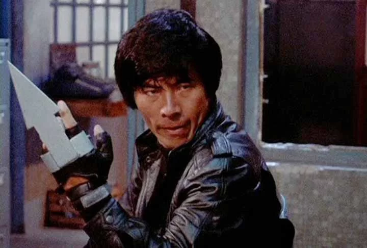 Shô Kosugi, conhecido também como Shonichi Kosugi, ganhou destaque ao interpretar o antagonista em Ninja: A Máquina Assassina (1980), o primeiro filme de ninjas da Cannon Group. Ele rapidamente se tornou a imagem ocidental dos ninjas e o ícone da Ninja-Mania. Kosugi, além de atuar, é diretor, roteirista e mestre em várias artes marciais, incluindo Karatê, Kendo, Judô, Iaidô e Tae Kwon Do. Ele participou ativamente na produção e coreografia dos três filmes da Trilogia Ninja (Ninja: A Máquina A