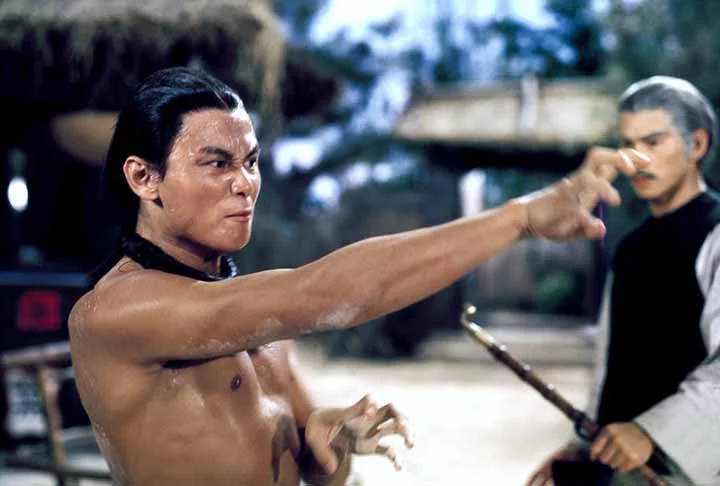 Embora Lau Kar-Leung tenha atuado em muitos filmes, geralmente como vilão, sua contribuição para o cinema de artes marciais é imensa e duradoura. Nos bastidores, como coreógrafo e roteirista na Shaw Bros, Leung transformou cada filme de ação em um clássico, influenciando cineastas como Quentin Tarantino e elevando os filmes de Kung Fu no Ocidente. Mestre do estilo Hung Gar, Leung moldou muitas produções icônicas da Shaw nos anos 70 e 80, sendo uma lenda frequentemente subestimada das artes marci