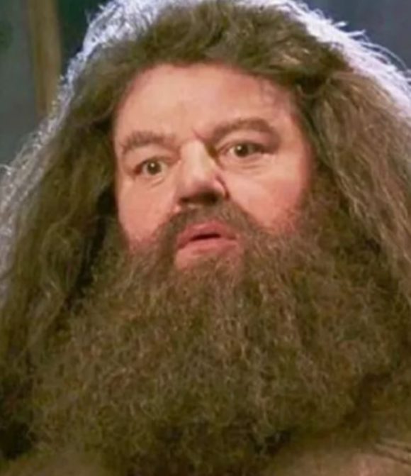 Robbie Coltrane - Seu grande sucesso, inclusive atraindo o carinho das crianças , foi o gigante Rubéo Hagrid, o guardião de Hogwarts. Ele morreu em 14/10/22, aos 72 anos.  