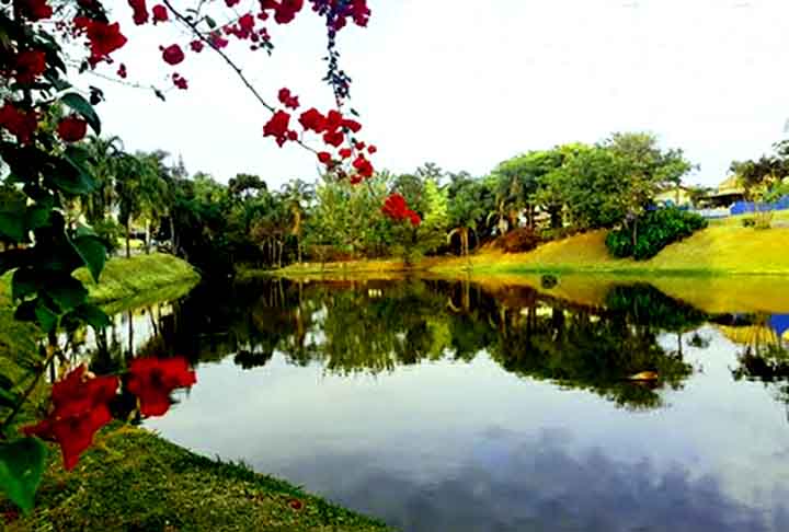 A Praça do Aquário é um agradável espaço público em Vinhedo, destacando-se por seu ambiente tranquilo e áreas de lazer. O local é ideal para passeios em família, com playgrounds e bancos confortáveis, além de um ambiente arborizado que proporciona sombra e frescor. A praça é frequentemente utilizada para eventos comunitários e atividades ao ar livre, oferecendo uma ótima oportunidade para socialização e recreação. Seu design acessível e acolhedor torna a Praça do Aquário um ponto de encontro pop