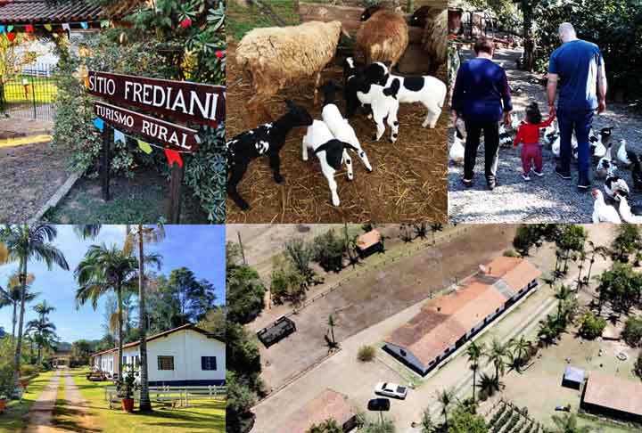Charmoso espaço rural, o Sítio Frediani é um lugar que oferece uma experiência autêntica de contato com a natureza. Ideal para eventos e atividades ao ar livre, o sítio dispõe de amplas áreas verdes, trilhas e estruturas para lazer. Frequentemente utilizado para festas, reuniões familiares e retiros, o local proporciona um ambiente tranquilo e acolhedor. Além disso, o Sítio Frediani é conhecido por suas instalações bem cuidadas e pela atmosfera relaxante, perfeita para quem busca escapar da roti