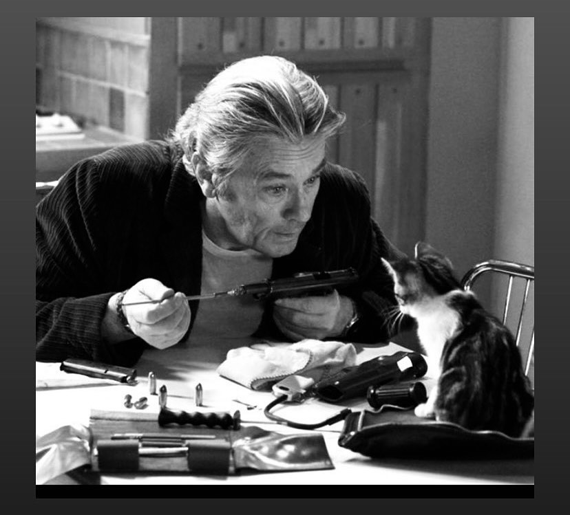 Os filhos do ator dizem que Hollin isolou Alain Delon de parentes e amigos desde o AVC, com ameaças para deixá-lo afastado das pessoas. 