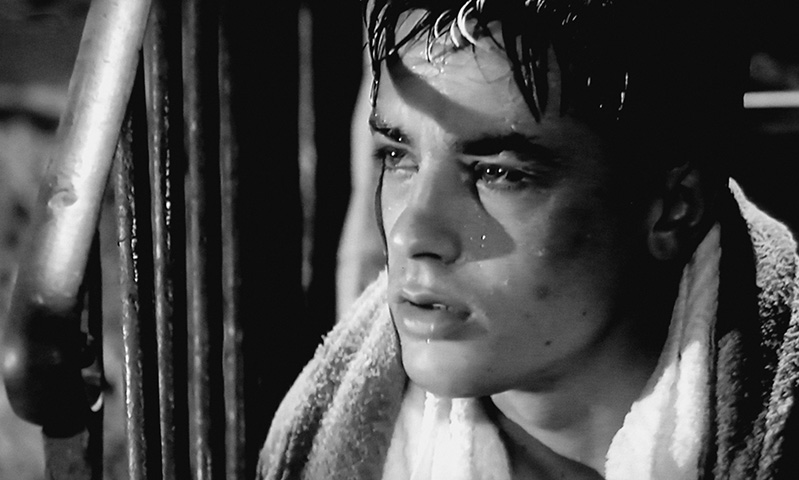 Na filmografia de Delon também se destacam os clássicos italianos “Rocco e Seus Irmãos” e o “O Leopardo”, de Lucchino Visconti. 