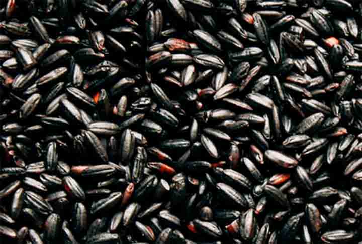 Arroz Negro- Com alto teor de antioxidantes, fibras e nutrientes, apresenta sabor marcante e textura firme. Consumido tradicionalmente na China e na Indonésia, destaca-se em pratos finos, harmonizando-se especialmente com carnes e vegetais.