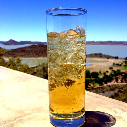 Esta não é a primeira vez que uma ideia de vendas desse tipo é proposta. No começo do século 19, o empresário de Boston Frederic Tudor, conhecido como O Rei do Gelo, enriqueceu enviando gelo dos lagos da Nova Inglaterra para o Caribe.