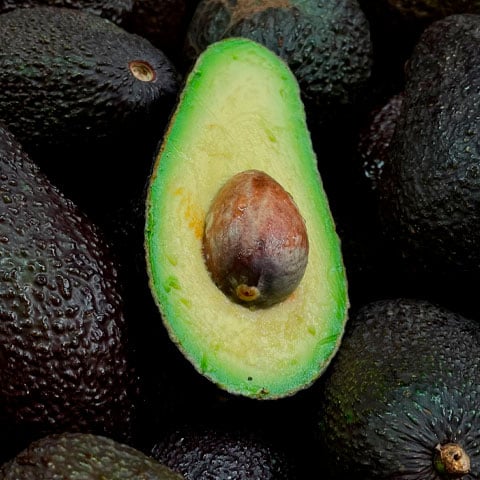 ABACATE - Boa fonte de potássio, além de ser indicado para a recuperação muscular, contribui para o funcionamento do intestino e na perda de peso. Também ajuda na absorção das proteínas, e é rico em ácido fólico, que auxilia na formação do tecido muscular.