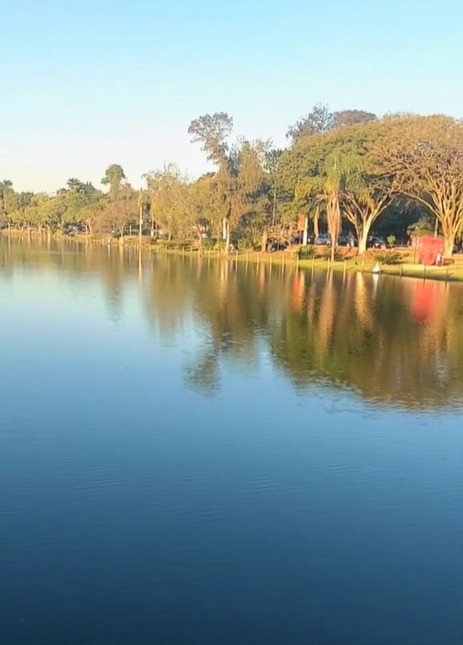 O Lago Vitória Régia, em Holambra, tem uma bela paisagem onde vivem animais que chamam atenção dos visitantes, como patos e capivaras. Um lugar perfeito para contemplação e descanso. 