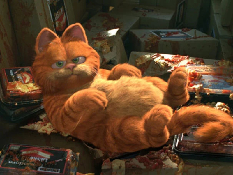 Garfield: The Movie foi lançado nos Estados Unidos em 11 de junho de 2004. Embora tenha recebido críticas negativas, o filme foi um sucesso de bilheteria, arrecadando US$ 200 milhões em um orçamento de US$ 50 milhões.