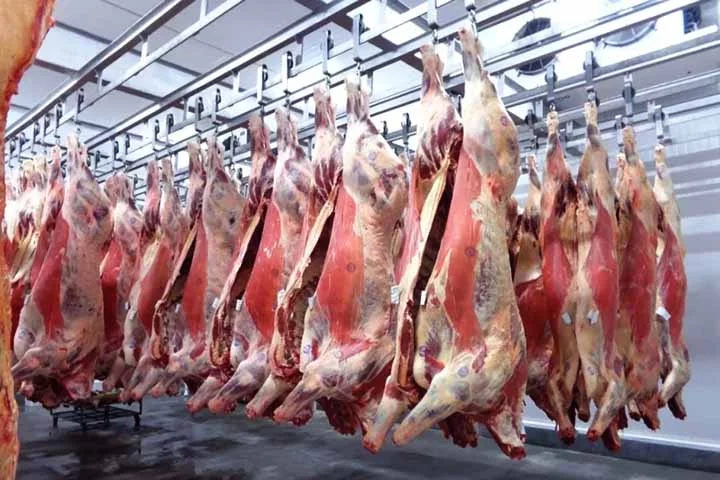 A dificuldade em rastrear a origem e a qualidade da carne torna a fraude mais fácil. A adulteração pode comprometer a segurança alimentar e a qualidade nutricional da carne. Inspeções rigorosas e rastreamento eficaz são necessários para garantir a integridade do produto e proteger os consumidores.