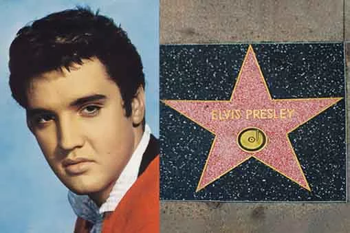 Ao longo do caminho, são homenageadas com placas em formato de estrelas celebridades de diversos segmentos, como o Rei do Rock and Roll Elvis Presley. 
