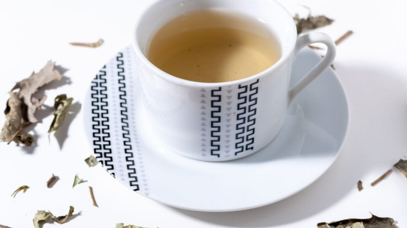 Chá de espinheira-santa (Imagem: Marcio Shimoda | Shutterstock)