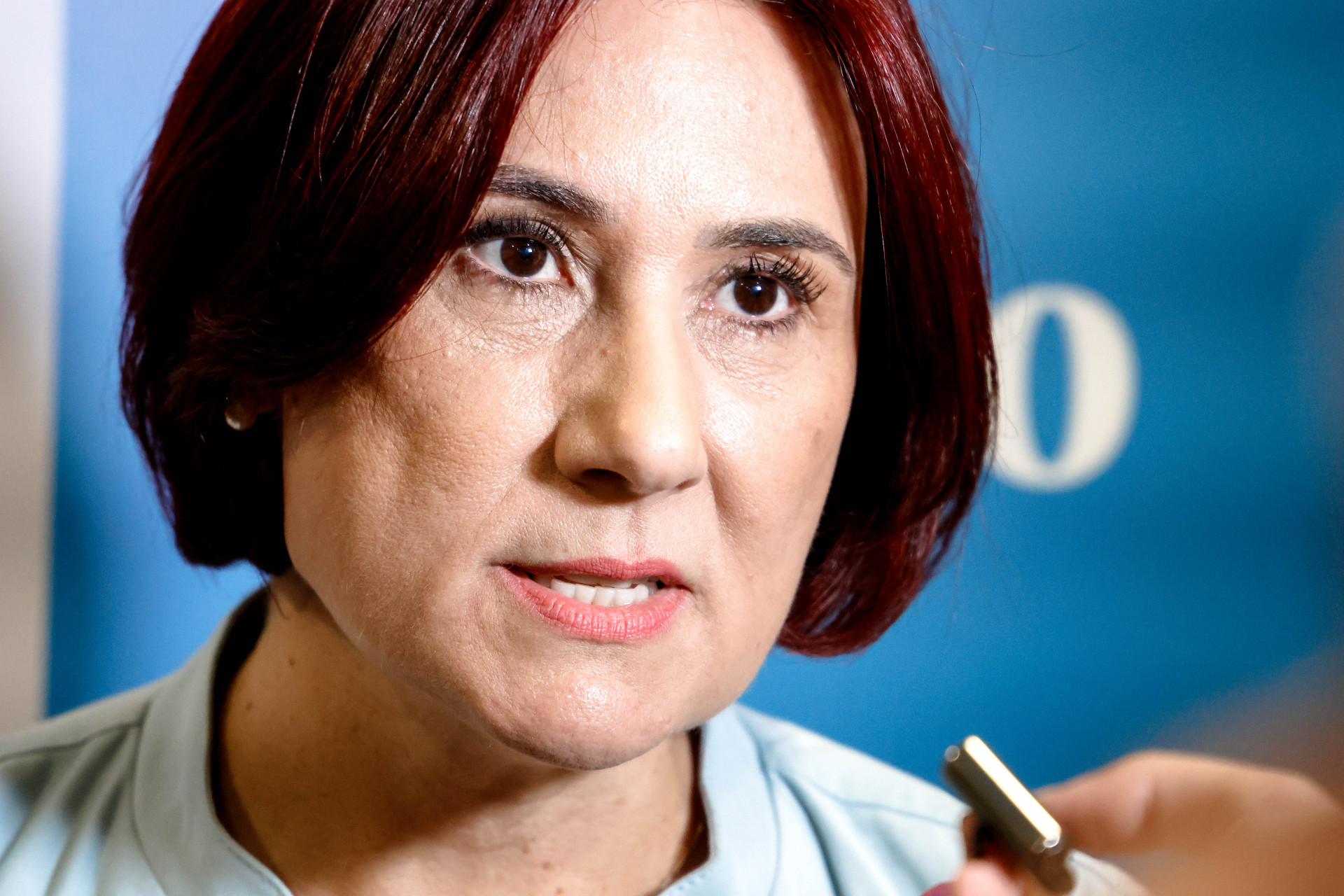 Deputada estadual Emilia Pessoa (PSDB) (Foto: AUR&Eacute;LIO ALVES/O POVO)