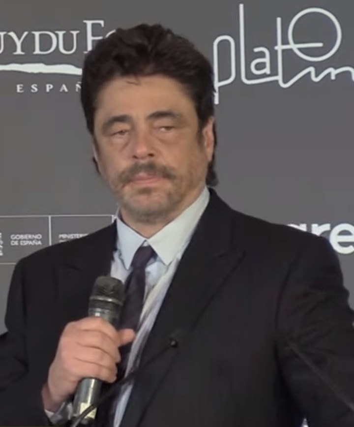 Assim como Luis Guzmán, outros atores conhecidos nasceram em Porto Rico. É o caso do premiado Benício del Toro. 
