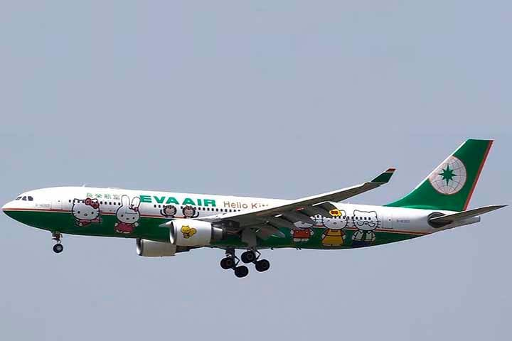 A Sanrio já promoveu a Hello Kitty até em avião comercial, um Airbus A330-200 a jato, denominado Hello Kitty Jet.