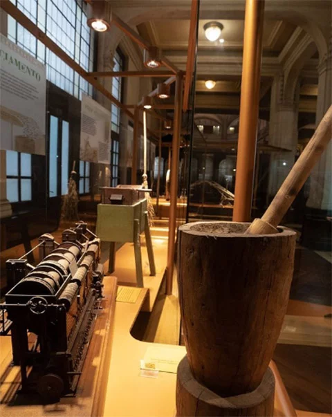 Museu do Café (Santos-SP): Inaugurado em 1998, funciona num espaço de 6 mil m² , onde obras de arte, documentos, equipamentos e mobiliário contam a história do grão e da forma como a bebida se consolidou como precioso produto de exportação e um dos símbolos da agricultura nacional. 