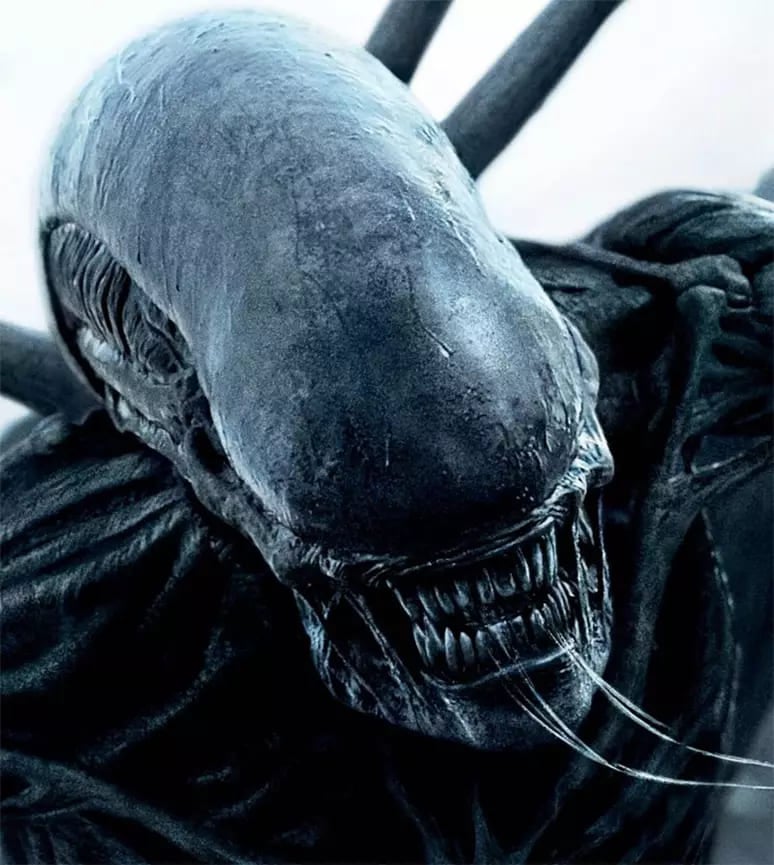 Assim, veja a ordem cronológica correta para assistir aos filmes, para acompanhar a linha do tempo da saga. Afinal, depois de Alien, o Oitavo Passageiro, foram lançados filmes que mostram fatos anteriores e explicam a origem do drama vivido pelos astronautas. 