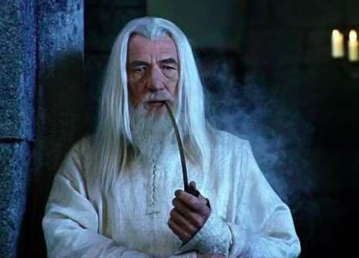 Esses papéis não apenas lhe trouxeram fama mundial, mas também demonstraram sua habilidade em interpretar personagens carismáticos, tanto heróis quanto vilões.