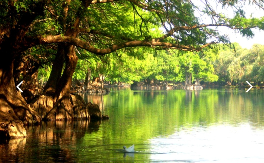 Uma parte do país tem predominância do clima subtropical úmido. É onde fica o Lago Camécuaro, uma área protegida, com água cristalina, paraíso de fotógrafos pela beleza da paisagem.