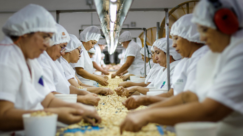 Foto mostra produção na fábrica da Usibras para o mercado internacional