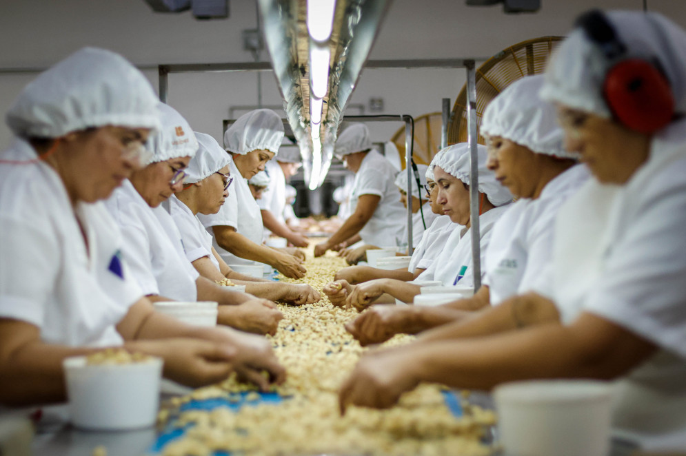 Estrat&eacute;gia assegurou produ&ccedil;&atilde;o de castanhas ap&oacute;s o tarifa&ccedil;o