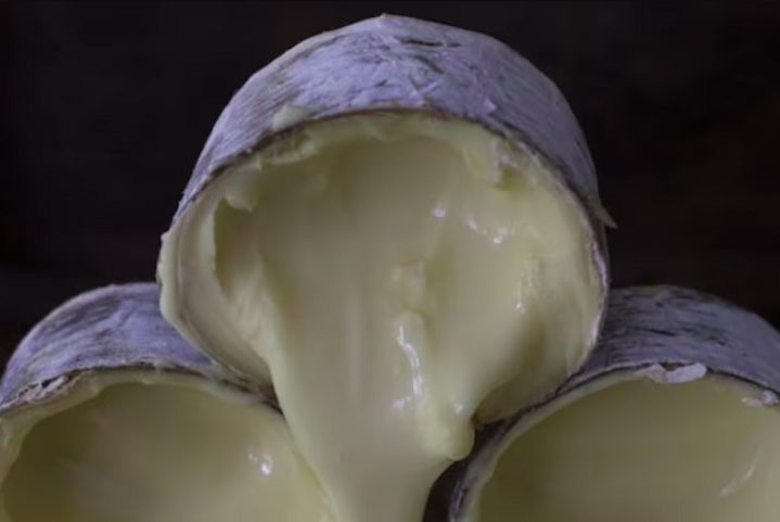 Em 2023, o queijo Morro Azul já havia sido eleito o Melhor da América Latina no 35º World Cheese Awards, que foi realizado na Noruega.