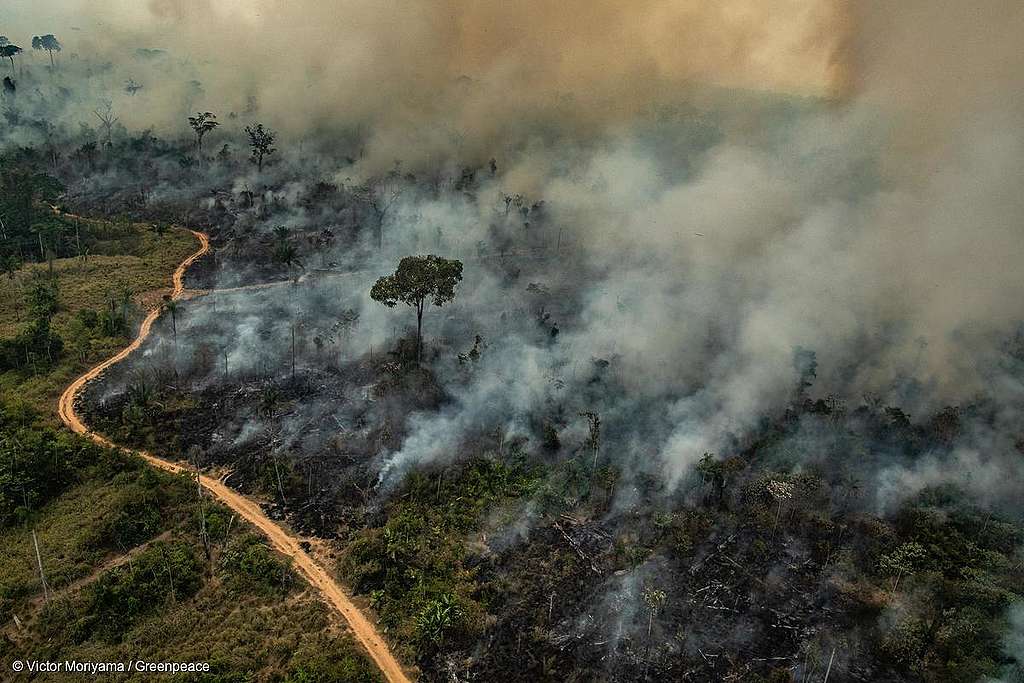 Os incêndios florestais em grandes proporções explicam o dado aterrador na área do norte do Brasil. A concentração de poluentes deixou a região amazônica em situação pior até que países que sofrem de forma crônica com o problema, como Índia e China. 

