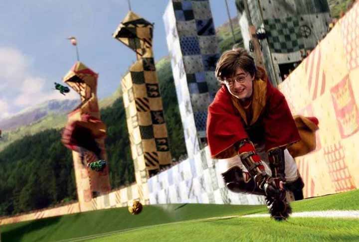 O sucesso de Harry no quadribol não só ajuda Grifinória a ganhar vários jogos e campeonatos, mas também o torna uma figura muito popular no mundo bruxo.