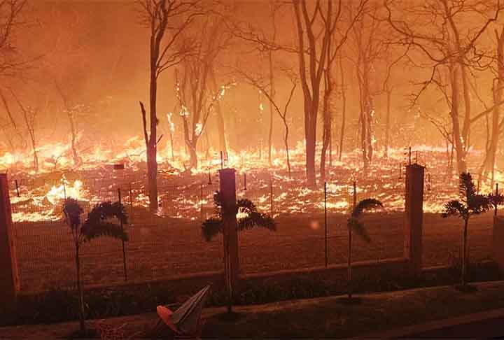 A seca tem provocado ainda queimadas que espalham fogo e fumaça por diversos municípios do Brasil. São Paulo, por exemplo, chegou a aparecer como a cidade com pior qualidade de ar no mundo por dois dias consecutivos, segundo a agência suíça IQAir, que faz esse monitoramento.

