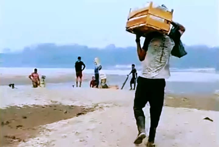 Vídeos exibidos no portal G1 mostram famílias de Porto Velho, capital de Rondônia, que vivem da produção de banana se locomovendo por regiões secas onde antes havia água.

