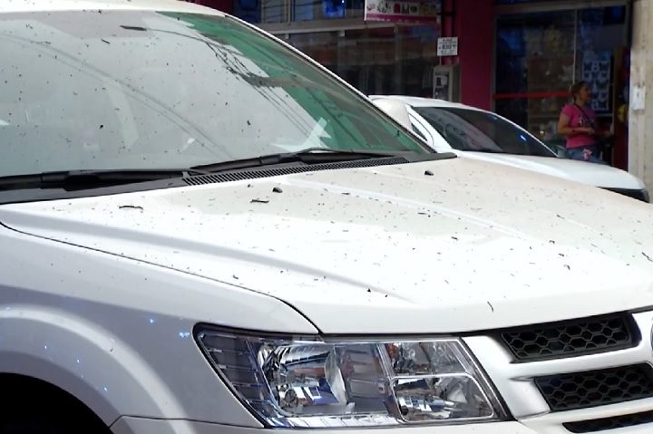 As partículas finas e poluentes podem causar diversos problemas de saúde, como irritação nos olhos, nariz e garganta, além de agravar doenças respiratórias como asma e bronquite.