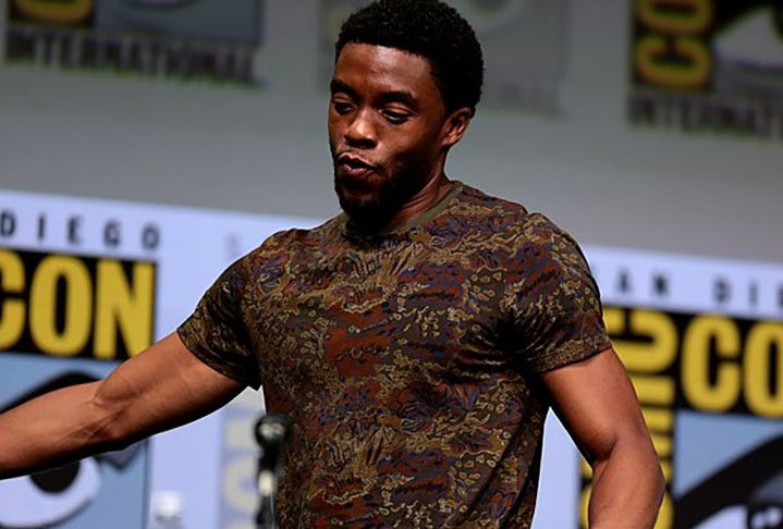 O ator Chadwick Boseman morreu aos 43 anos após uma luta contra o câncer. O ator americano, cuja carreira começou em 2003 na televisão e chegou aos cinemas em 2008, estava no auge quando morreu precocemente, vítima da doença.