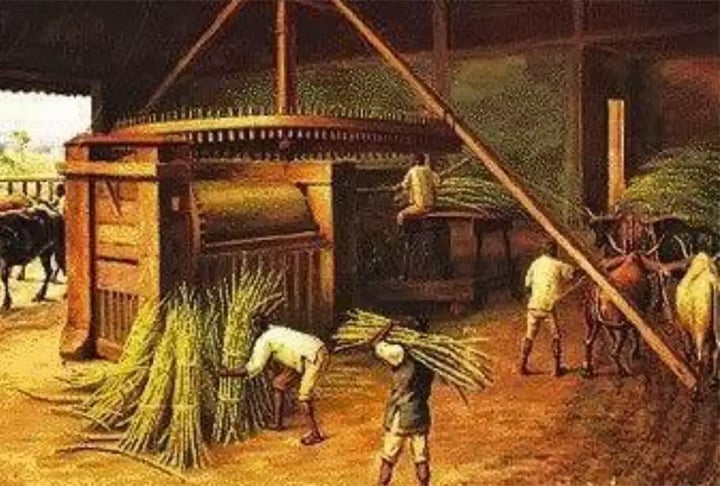 O nome pode ter origem no termo ibérico 'cachaza', vinho de borra - bebida de qualidade inferior em Portugal e Espanha.