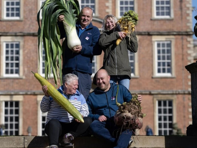 Competi&ccedil;&atilde;o de "vegetais gigantes" acontece na Inglaterra