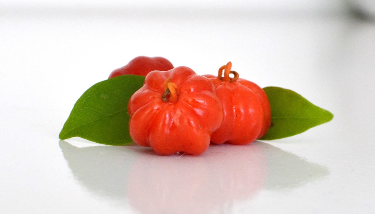 A pitanga é uma fruta que possui muitos nutrientes como vitaminas A, B e C, cálcio, fósforo e ferro, que auxiliam no combate ao envelhecimento precoce, aliviam os sintomas de artrite e previnem o desenvolvimento de doenças cardiovasculares.