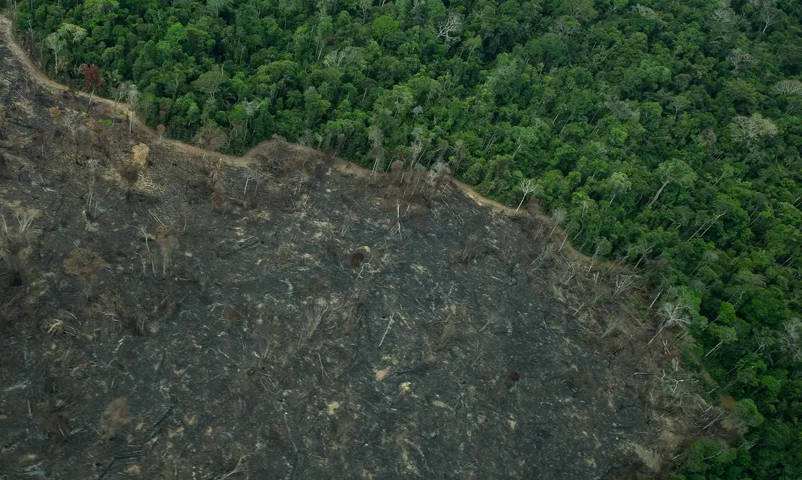 Terra Indígena Karipuna de Rondônia tem cenário de incêndio e seca 