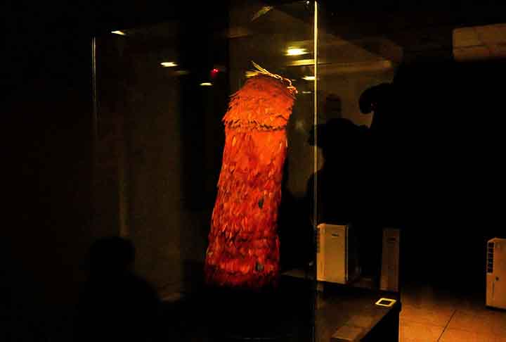 Essa vestimenta cerimonial possui quatro mil penas de araras vermelhas e mede pouco menos de um metro e oitenta.